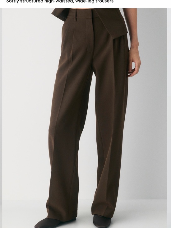 Aritzia Pants - Aritzia Wide-Leg High-Waist Trousers in Brown